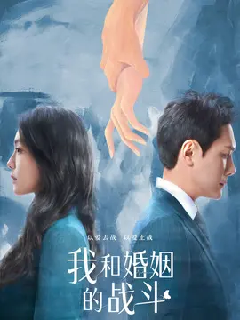 婚内婚外,介绍海报